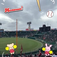 早起きして…