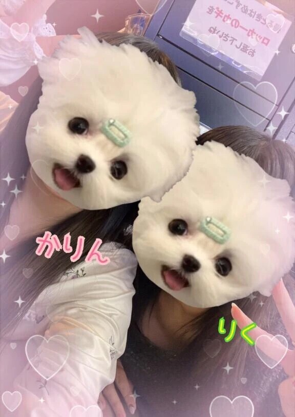 3Pしよー♡