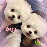 3Pしよー♡