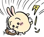 予約は