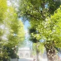 暑い。。
