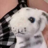 オキニトーク♡