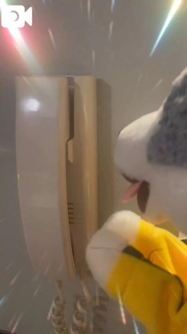 本日のアタタ