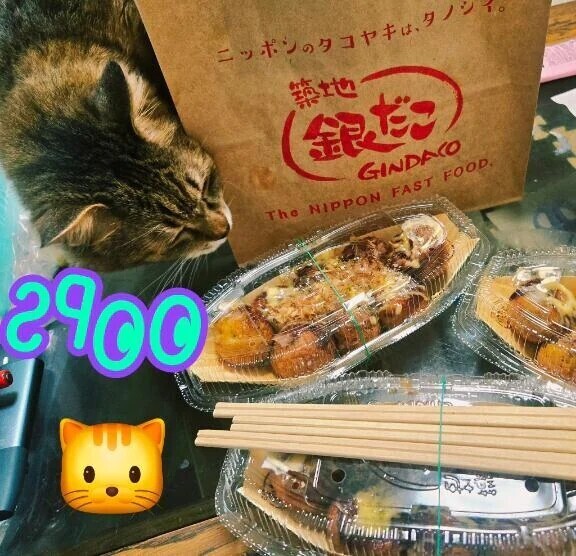 🐙🐈️