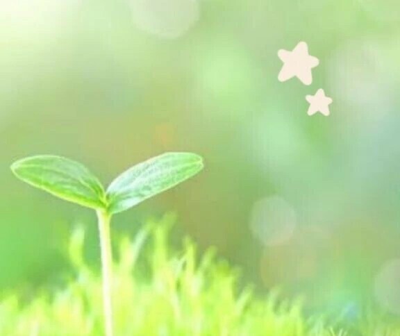 ☆今日は19:00から☆