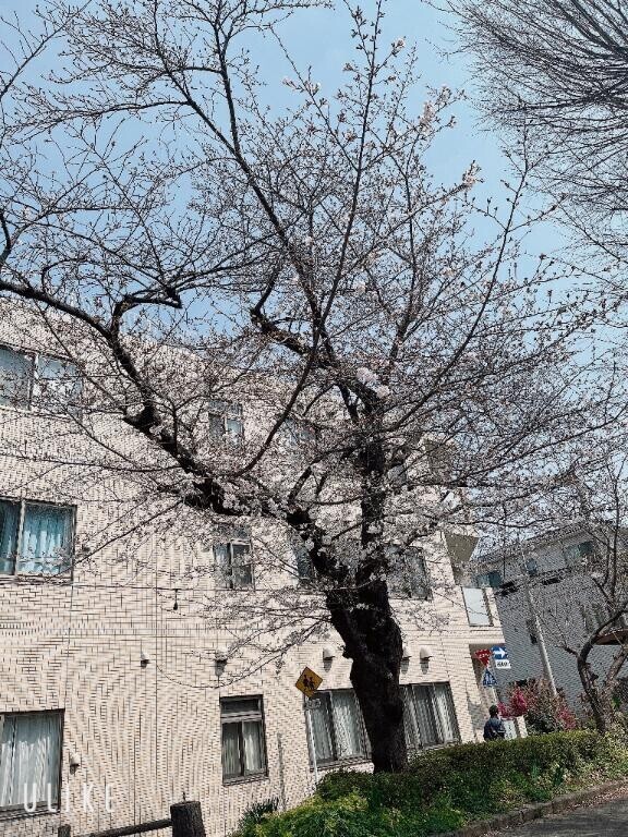 さむさむ〜