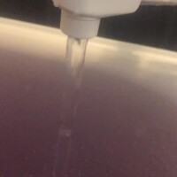 マコモ🛀