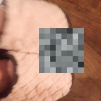 ※くしゃみ止まらん