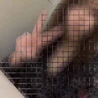 野上せいら