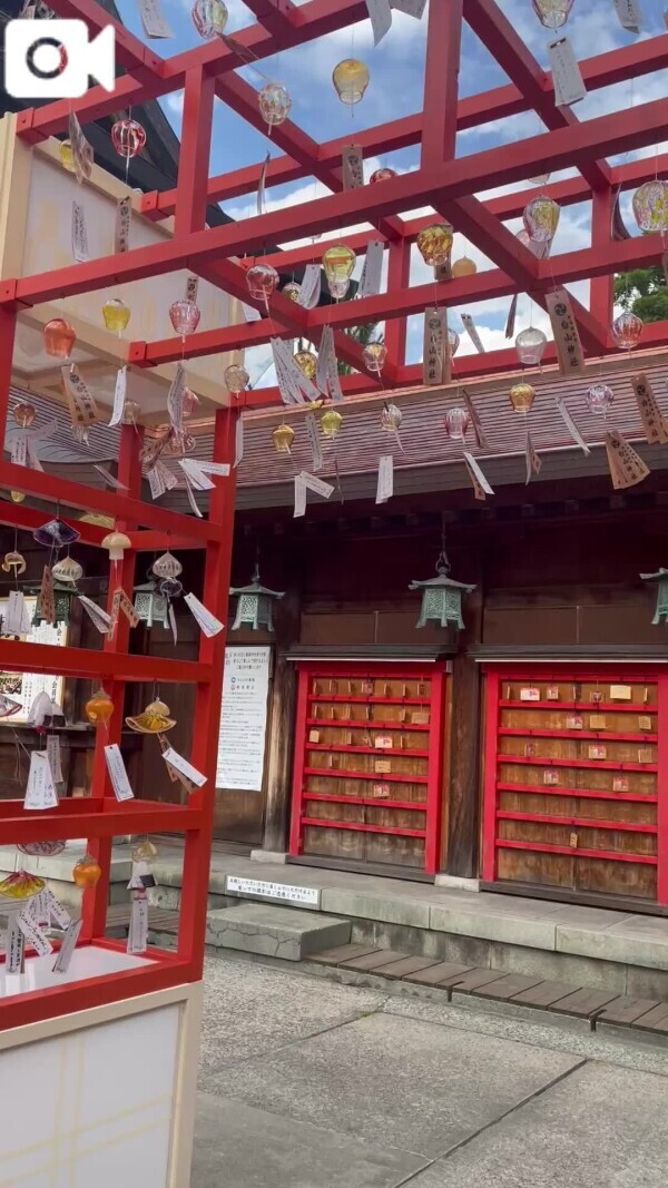 日本の夏