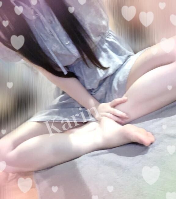 🐨🐨🐨🐨