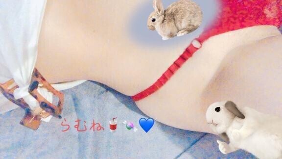 お礼♥️