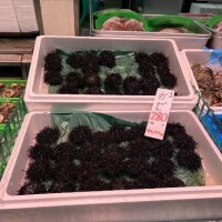 この間