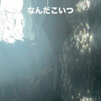 明日16時-23時♡