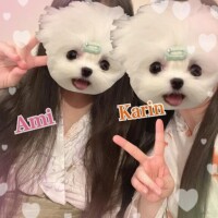 3P♡K様♡