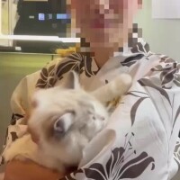 かわちいฅ^•ω•^ฅ