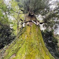 あなたにも届け♡