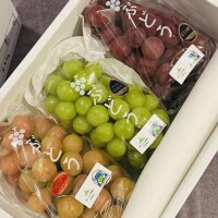 仲良しＳＭのぶくん♡