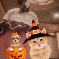 おはようございます😊