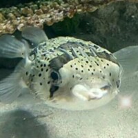 おはようございます