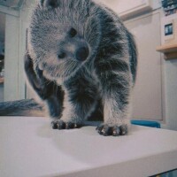 こんな可愛いイキモノが？！