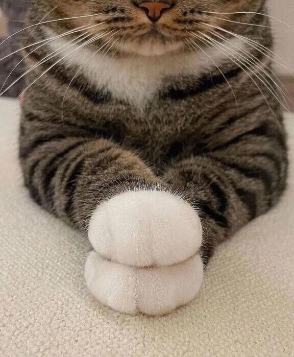 ありがとうございました