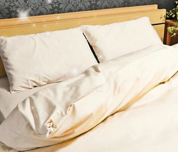 ご馳走様でした