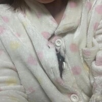 今日は19時から