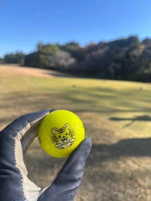 昨日可愛いボールもらったの🐯♡