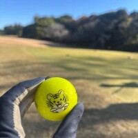 昨日可愛いボールもらったの🐯♡