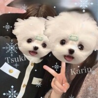 逃げられない時間🎵