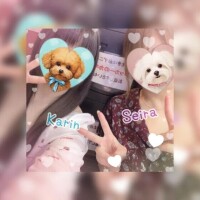 いるよん(｡•ᴗ•｡)💖