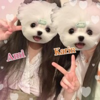 あなたを取り合いしちゃう🙈💓