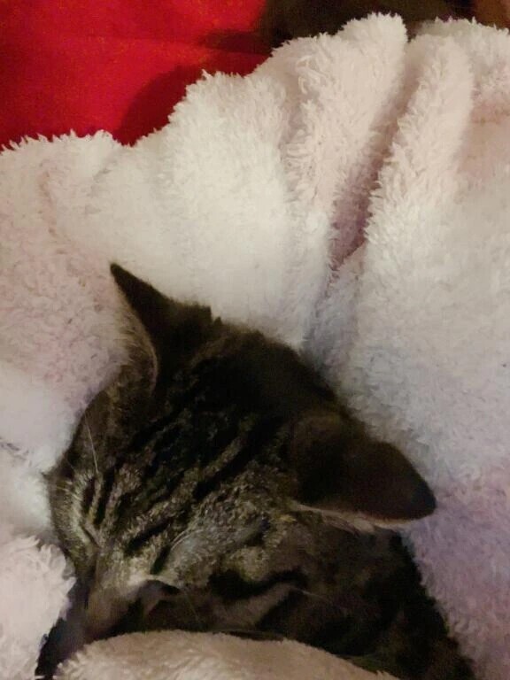 火曜日お礼♡まつ◯◯様❤️