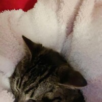 火曜日お礼♡まつ◯◯様❤️