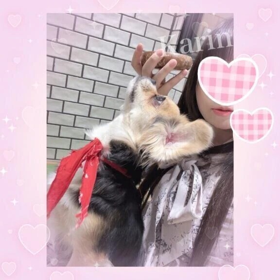 待機してます♡