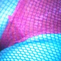 夜10時ぐらいまでいます～