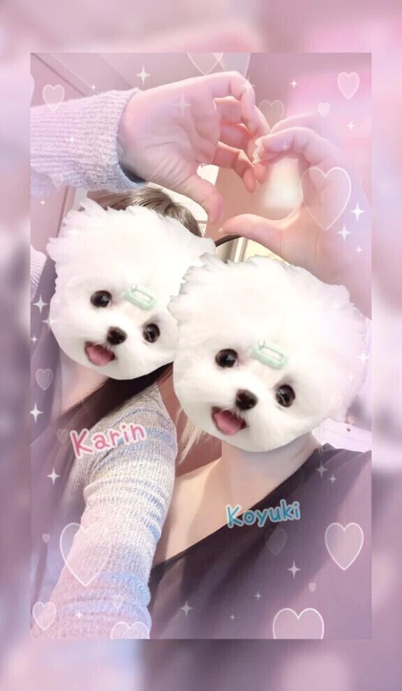 ♡本指名A様♡3P