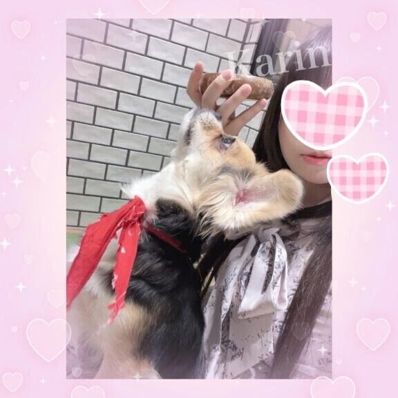 【お礼写メ日記】