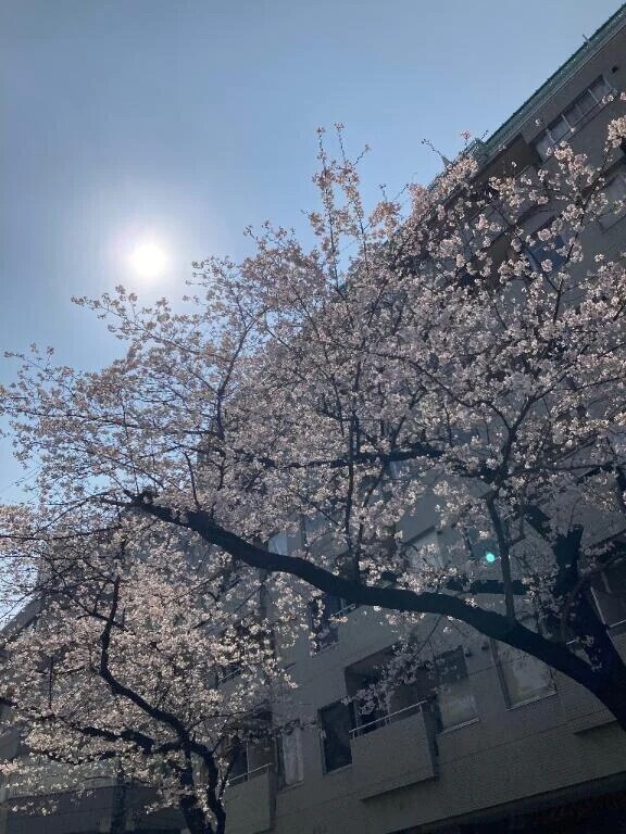 今日も[お題]に答えたよー