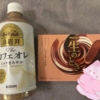 明日もいるよ🧸🫶