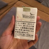 おしとやかなる1日