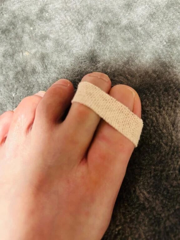 折れたて🦴