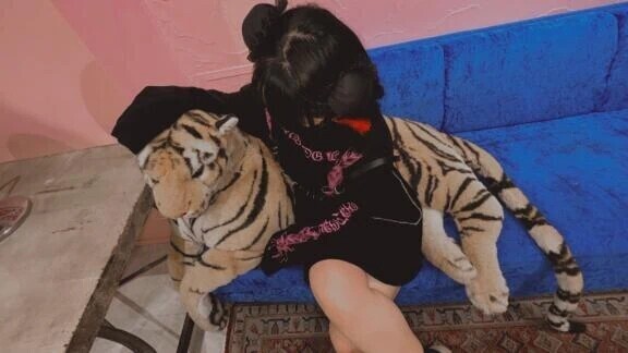 🐯手懐けました🐯