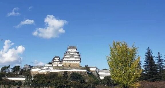 お礼