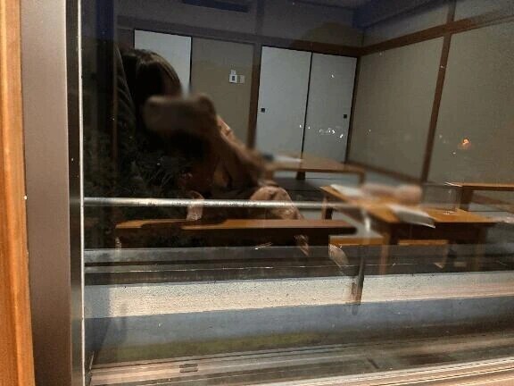 💤睡眠時間って大切だと思うんだ💤