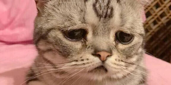 ！お礼のお話と注意喚起です！