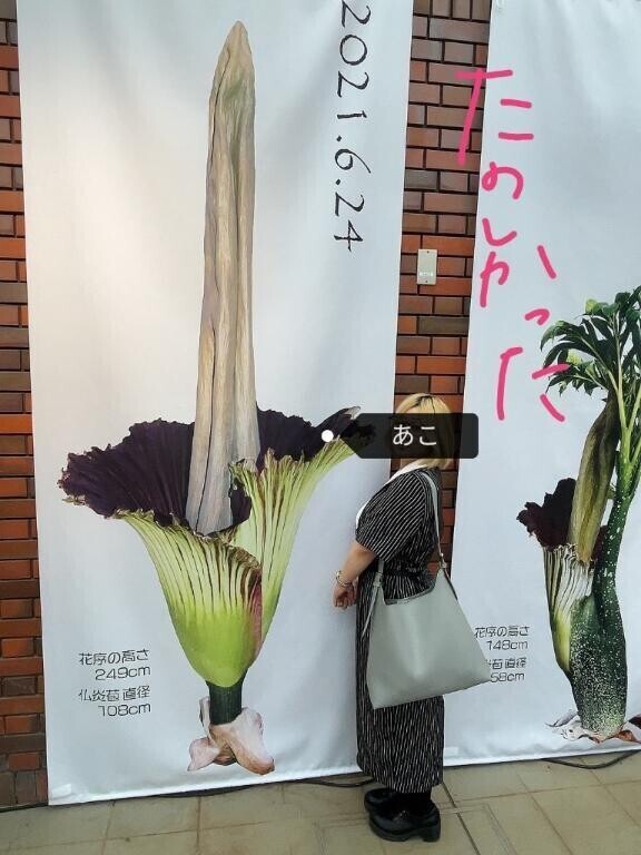少々久々な◎