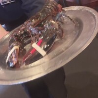 お礼