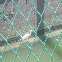 お礼